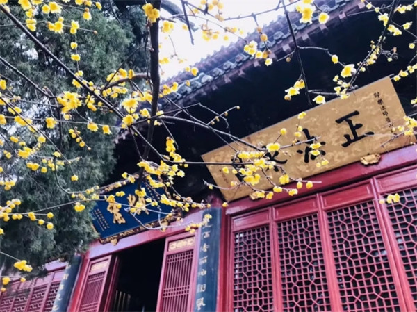 1545807418704107.jpg 1.jpg