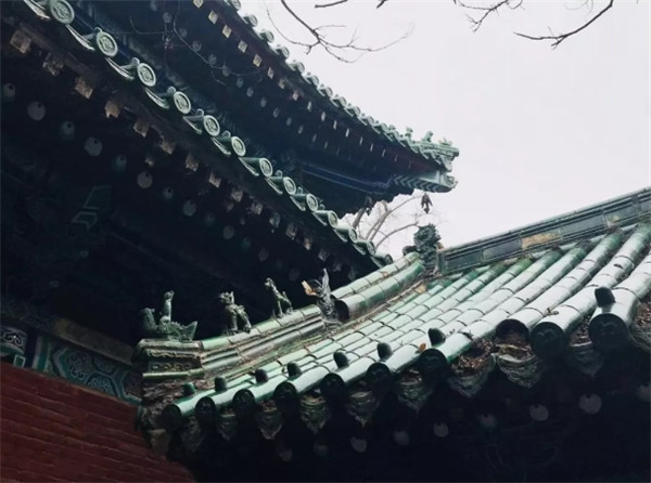 1545807445492471.jpg 3.jpg